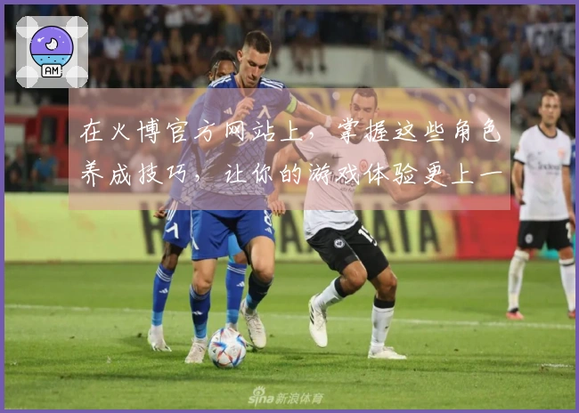 在火博官方网站上，掌握这些角色养成技巧，让你的游戏体验更上一层楼