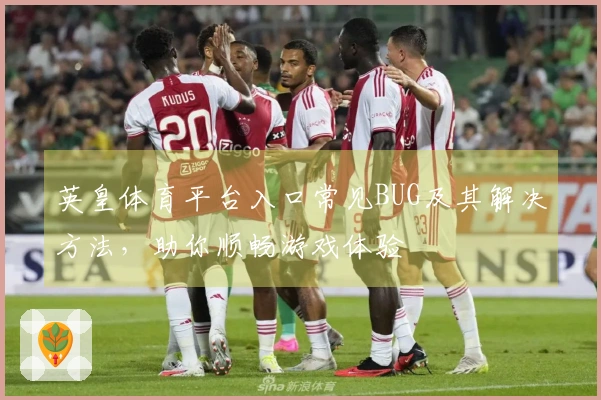 英皇体育平台入口常见BUG及其解决方法，助你顺畅游戏体验